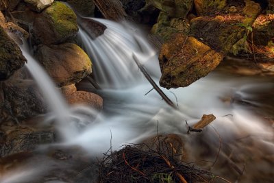 Intimate Falls - Limekiln State Park - California