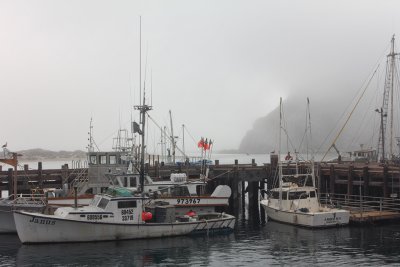 Fog - Morro Bay, CA