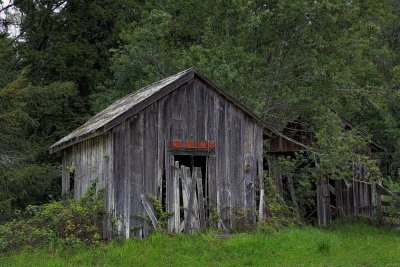 Shed - Coleman Valley Road - Sonoma County California