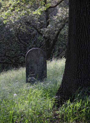 Rural Cemetery - Santa Rosa, California