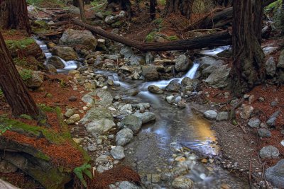 Creeks Come Together - Limekiln State Park - California