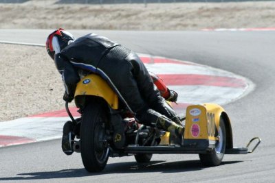 Sidecar Monkey Butt