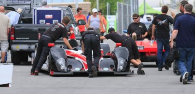 ALMS working butts