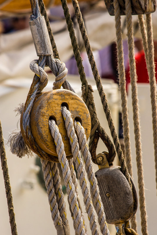Les Tonnerres de Brest 2012 _132.jpg