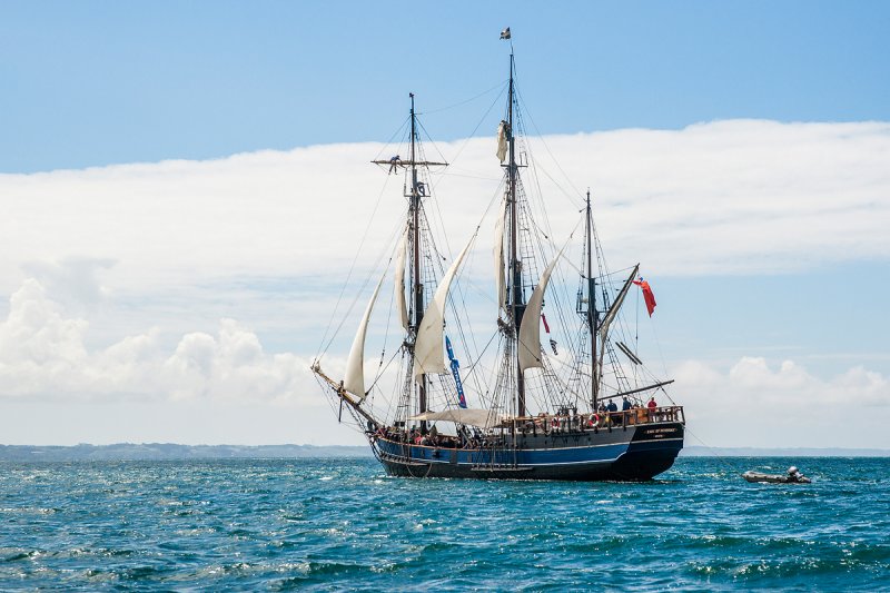 Douarnenez 2012 _113.jpg
