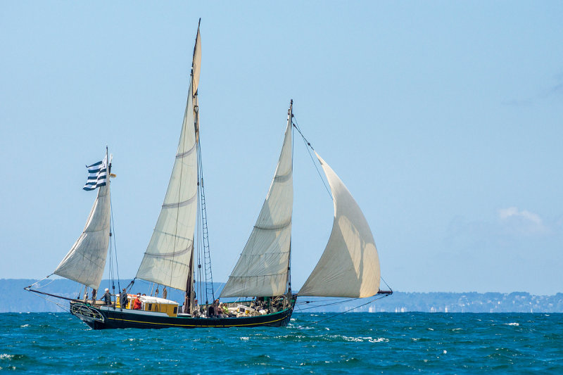 Douarnenez 2012 _135.jpg