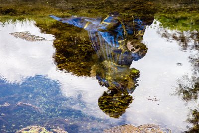 Les Jardins d'Annevoie 2012 _146.jpg