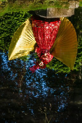 Les Jardins d'Annevoie 2012 _174.jpg