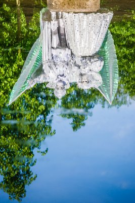 Les Jardins d'Annevoie 2012 _187.jpg
