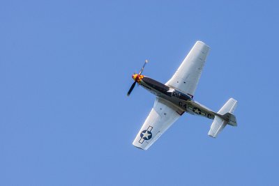 La Ferte Alais 2012 _202.jpg