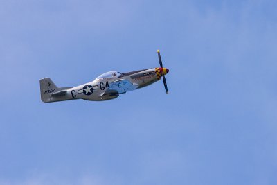 La Ferte Alais 2012 _203.jpg