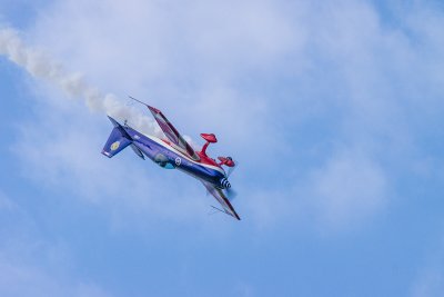 La Ferte Alais 2012 _206.jpg