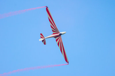 La Ferte Alais 2012 _220.jpg