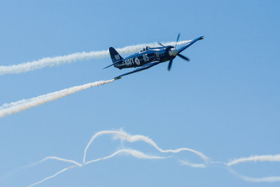 La Ferte Alais 2012 _236.jpg