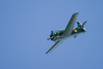 La Ferte Alais 2012 _249.jpg
