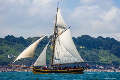 Douarnenez 2012 _081.jpg