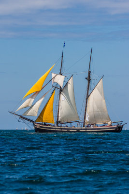 Douarnenez 2012 _082.jpg