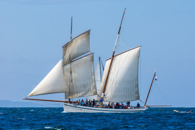 Douarnenez 2012 _093.jpg