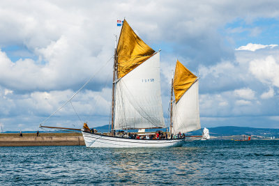 Douarnenez 2012 _157.jpg