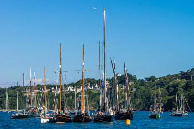 Douarnenez 2012 _242.jpg