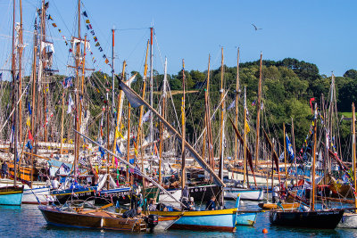 Douarnenez 2012 _269.jpg