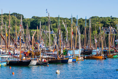 Douarnenez 2012 _270.jpg