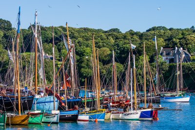 Douarnenez 2012 _275.jpg