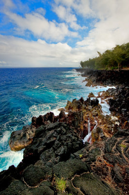 Sur les ctes de Big Island
