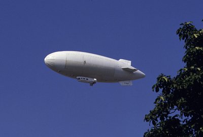 140037.jpg