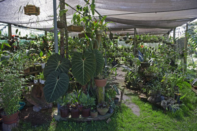 g4/79/963579/3/144066899.L6Dzs3SD.jpg
