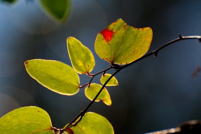 _DSC5844.jpg