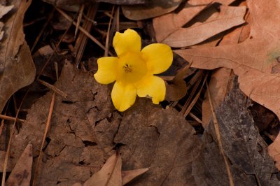 _DSC5855.jpg