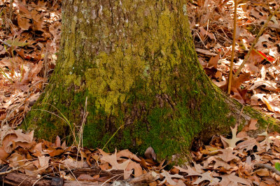_DSC5879.jpg