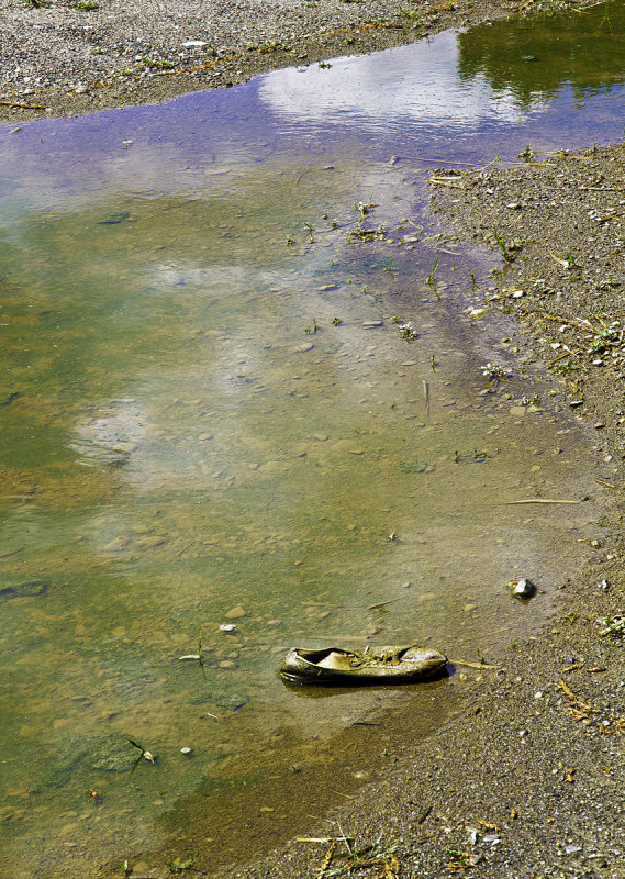 Abandoned Sneaker