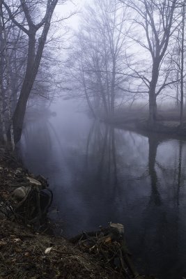 Foggy Morn, Three Rivers Park