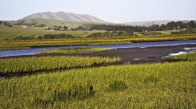 Point Reyes, CA