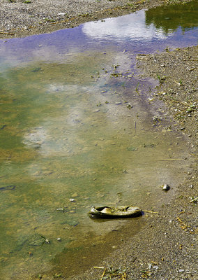 Abandoned Sneaker