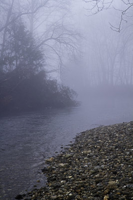 Fog on the River