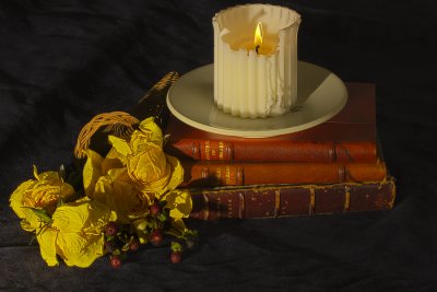 Books, Flowers, and Candle