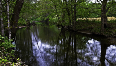 Along the banks_web