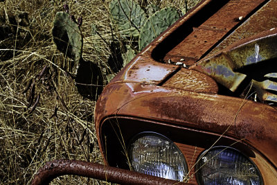 Abandoned Pickup