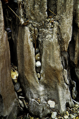 River Stones in Tree Trunk
