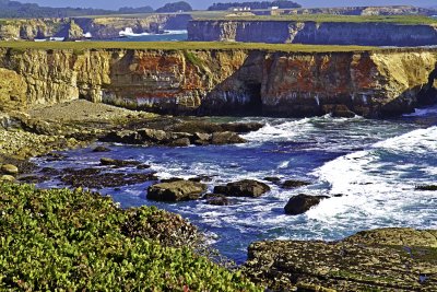 Coast Near Mendocino