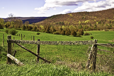 Fence, Field, and Hillside