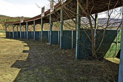 Racing Stalls_Great Barrington, MA