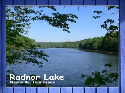 Radnor Lake Nashville