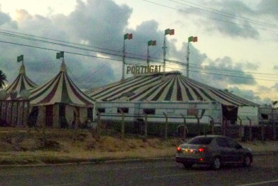 O CIRCO PORTUGAL P1020369.JPG