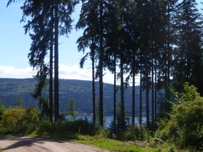 SCHWARZWALDWANDERUNGEN: SCHLUCHSEE / FELDBERG / TODTNAU: AUGUST 2011