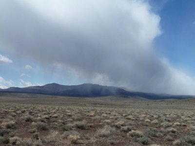 Desert Shower