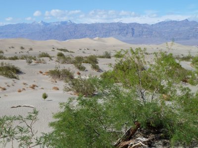 Death Valley Sand Dunes